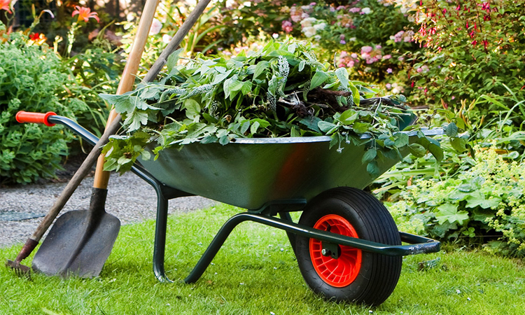 mdsenterprises.co.in